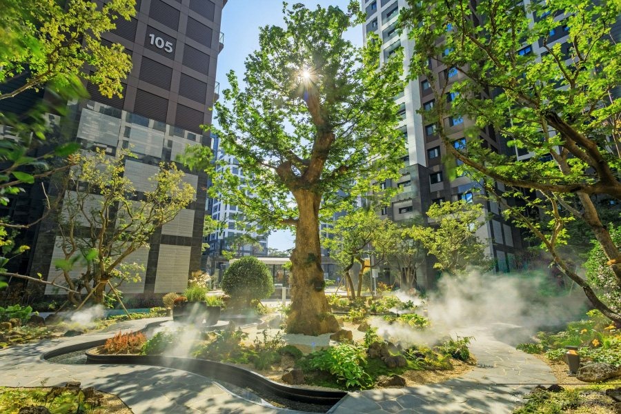 퐁낭 퐁당 안개가 내린 숲 조경