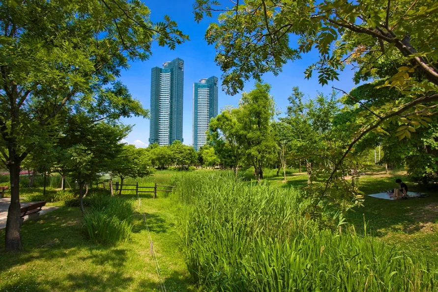 서울숲의 초록 사이로 보이는 갤러리아포레