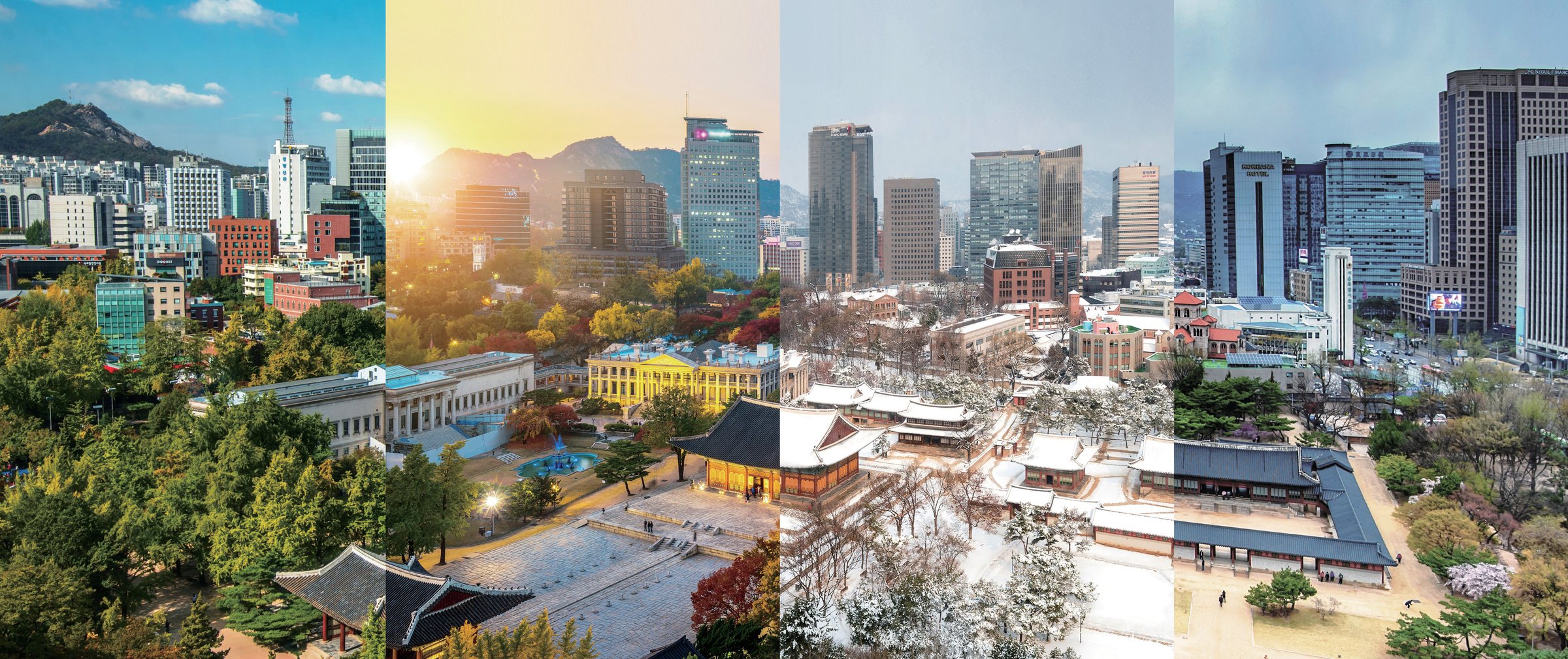 사업지 인근 사계절 풍경