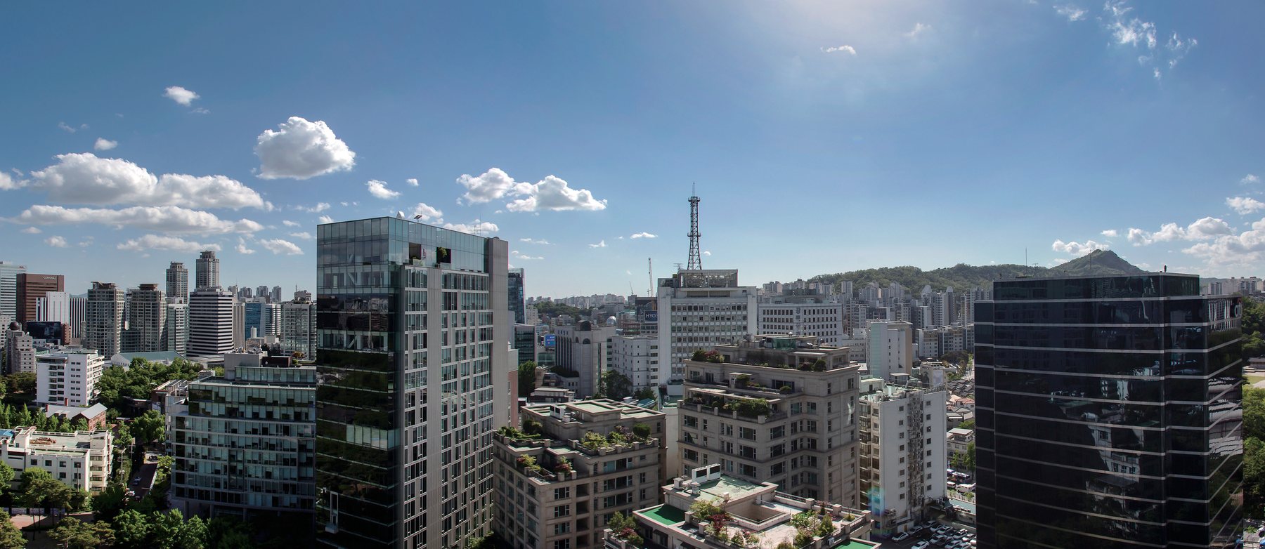 정동 조망